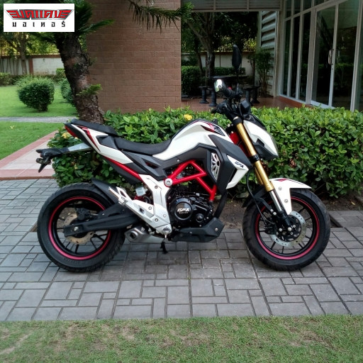 DEMON150GN